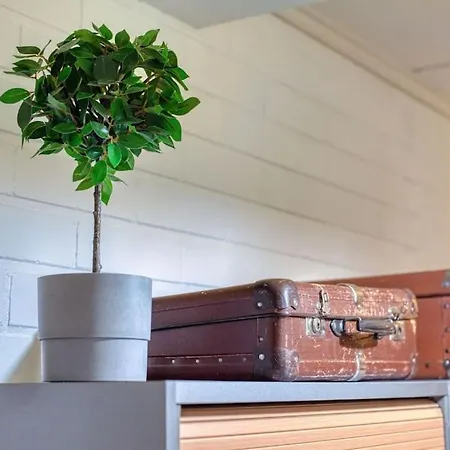 Kielo Сийлинъярви